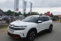 Citroen C5 Aircross Kamera, Ledy