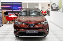 Toyota RAV 4 IV Hybrid Premium 4x4