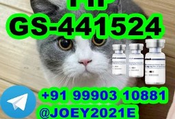  GS-441524 cat Fip Feline Infectious Peritonitis