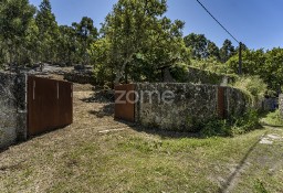 Dom Viana Do Castelo