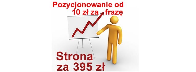 POZYCJONOWANIE stron Białystok tworzenie stron WWW strony internetowe-1