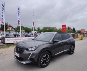 Peugeot 2008 Navi, Kamera,Ful-Led