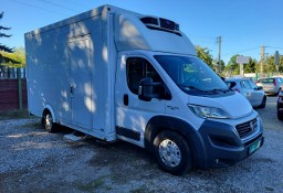 Fiat Ducato Chłodnia 2xkomora/Zasilanie 230V/Salon PL/FV23%/Leasing/Kredyt/Expor