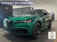 Alfa Romeo Stelvio 2.2 JTDM Tributo Italiano Q4 ALFA ROMEO Stelvio | Pakiet Techno + Reflektory