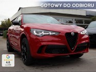 Alfa Romeo Stelvio 2.9 Bi Turbo V6 Quadrifoglio Q4 2.0 (520KM) | Tempomat + Fotele elek