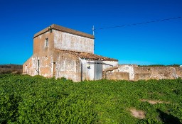 Dom Faro (Sé E São Pedro)