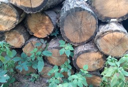 Drewno dębowe,  sezonowane 