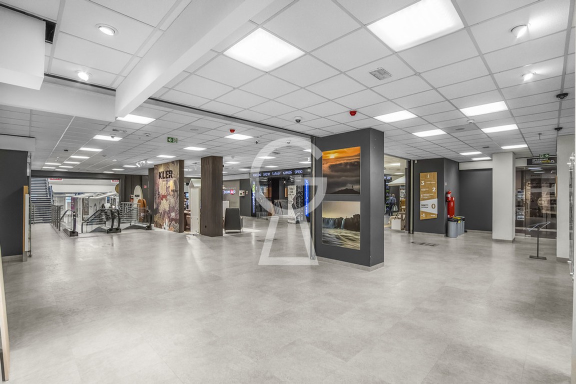 DOMAR Centrum Witryny Parking Ruch pieszych - Widok 5