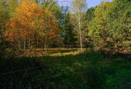 Działka inna Puszcza Mariańska, ul. Akacjowa