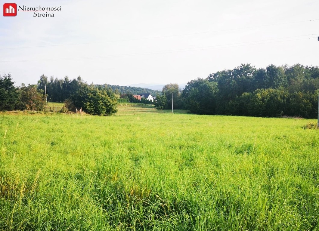 Atrakcyjna działka budowlano-rolna o pow. 59a - Widok 5