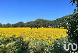 Dom AIX-EN-PROVENCE