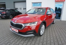 Skoda Octavia IV