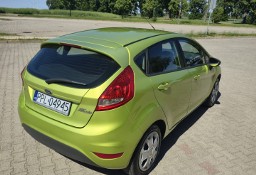 Ford Fiesta Piękna żaba szuka nowego właściciela