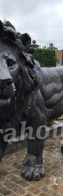 Lwy z brązu , Lew z brązu , Rzeźba Lwa z brązu Lwy pałacowe H200cm HIT-3