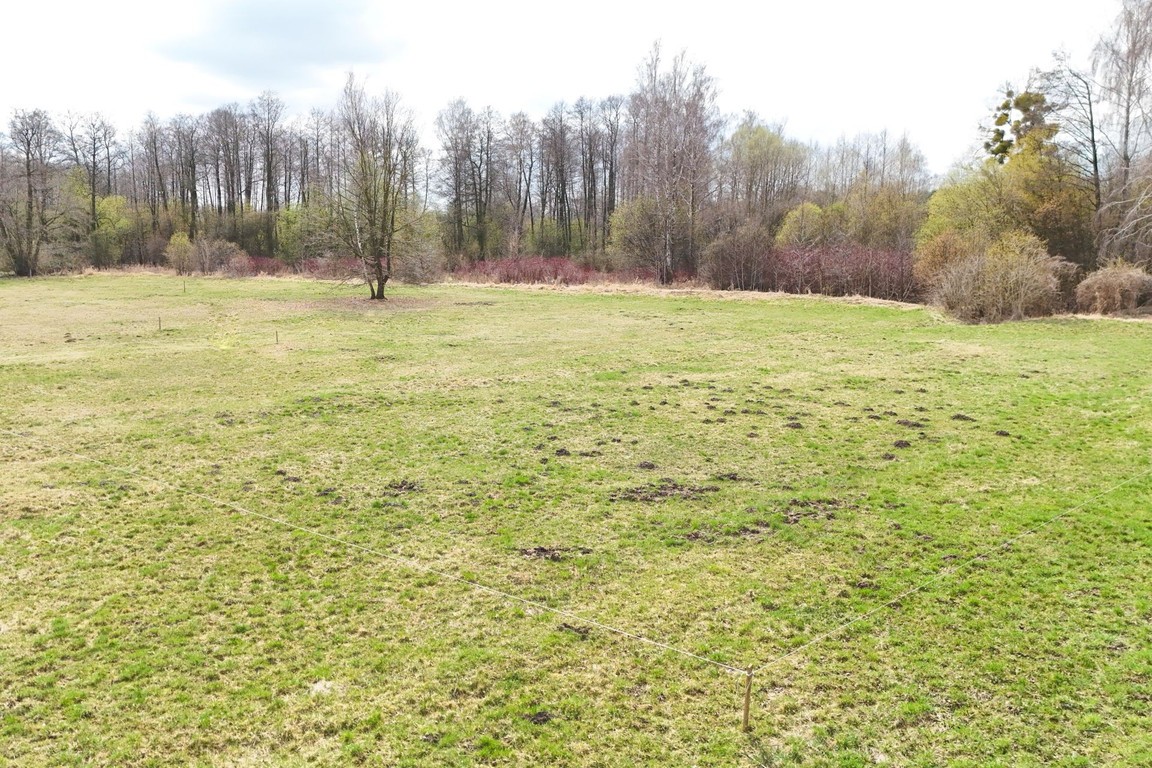 Działka nad rzeką , pow. 2842 m² Budy Zosine / WZ - Widok 5