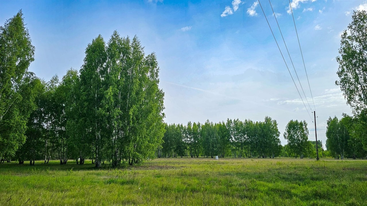 Działka budowlana Szczechy Małe udział w plaży - Widok 2