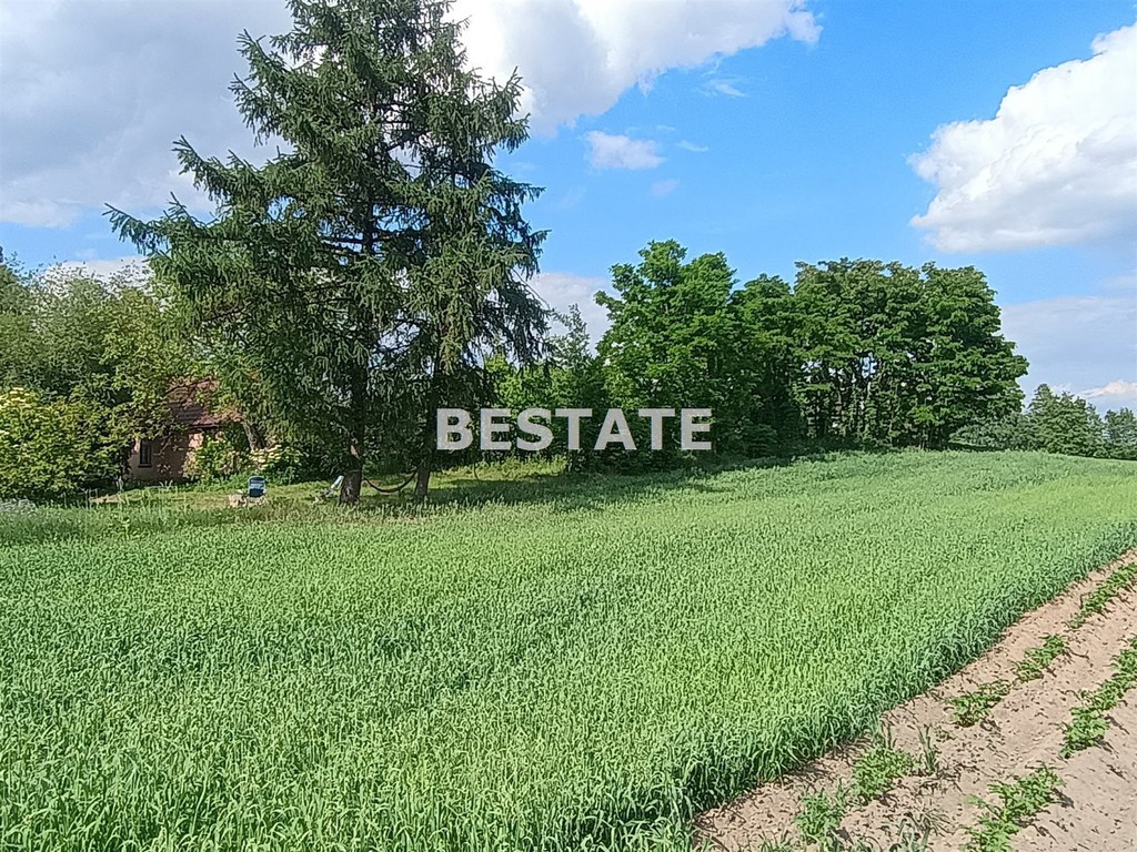 Działka 1200 m², Ługowiska+pozwolenie+projekt domu - Widok 2