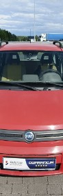 Fiat Panda II-4