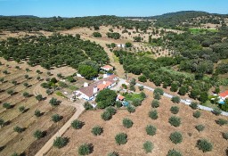 Dom Nossa Senhora Da Vila, Nossa Senhora Do Bispo E Silveiras