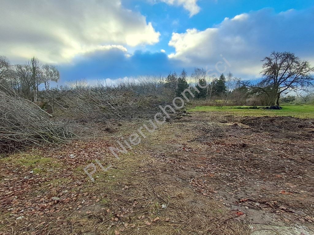 Działka na sprzedaż, 2250 m², Jaktorów Budy-Grzybek - Widok 5
