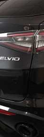 Alfa Romeo Stelvio 2.0 Turbo Veloce Q4 2.0 Turbo Veloce Q4 (280KM) Dach przeszklony, rozsuwany-3