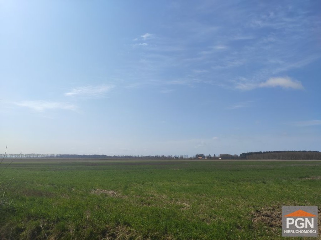 Strzeżewo, malownicza działka 5km od morza. - Widok 3