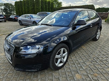 Audi A3 II (8P) 1,4 benzyna 125KM Automat-1