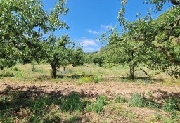 Działka inna Sobral Da Abelheira