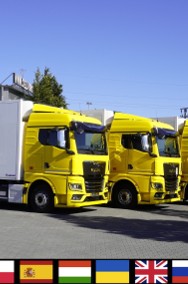 26.510 6×2-4 / Chłodnia Krone 18 EPAL / Thermoking T1000R/ 3 szt_259966-2