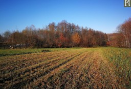 Działka budowlana Lusina