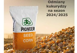 Materiał siewny kukurydza Pioneer 2024/2025 P8834 P9944 i inne