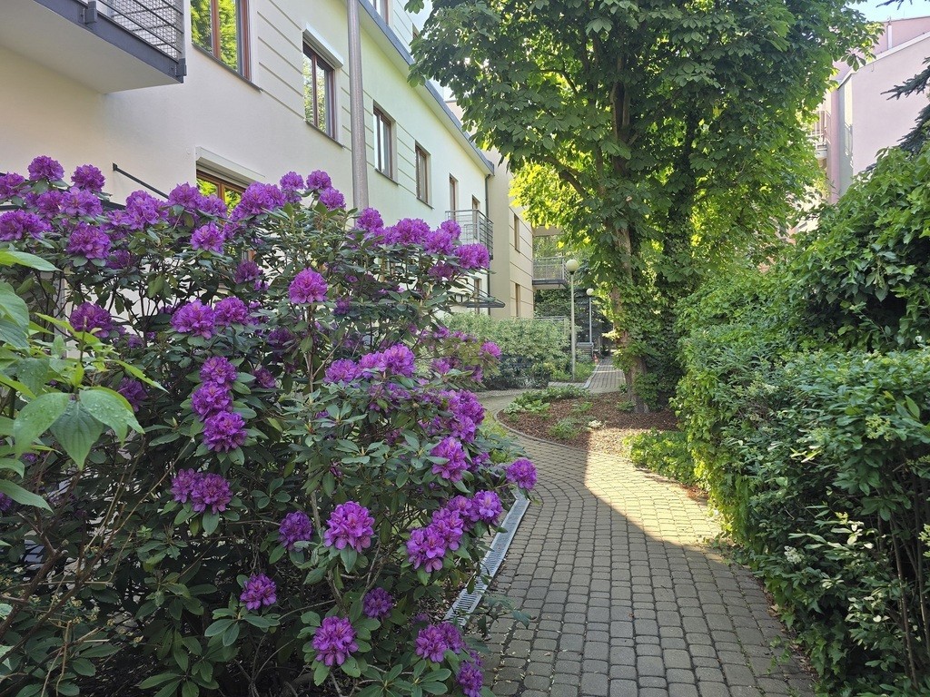 Ciche, 2 pokoje, garaż, komórka lokatorska - Widok 2