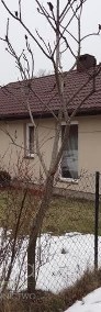 Dom Borów, ul. Borów-3