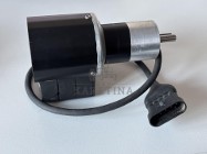 Maschio GASPARDO F05012310 Silnik Bezszczotkowy 12V 2400RPM
