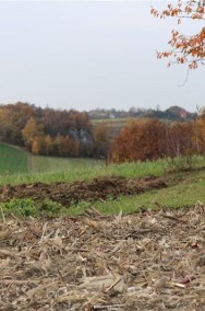 Działka rolna Wierzchowie-2