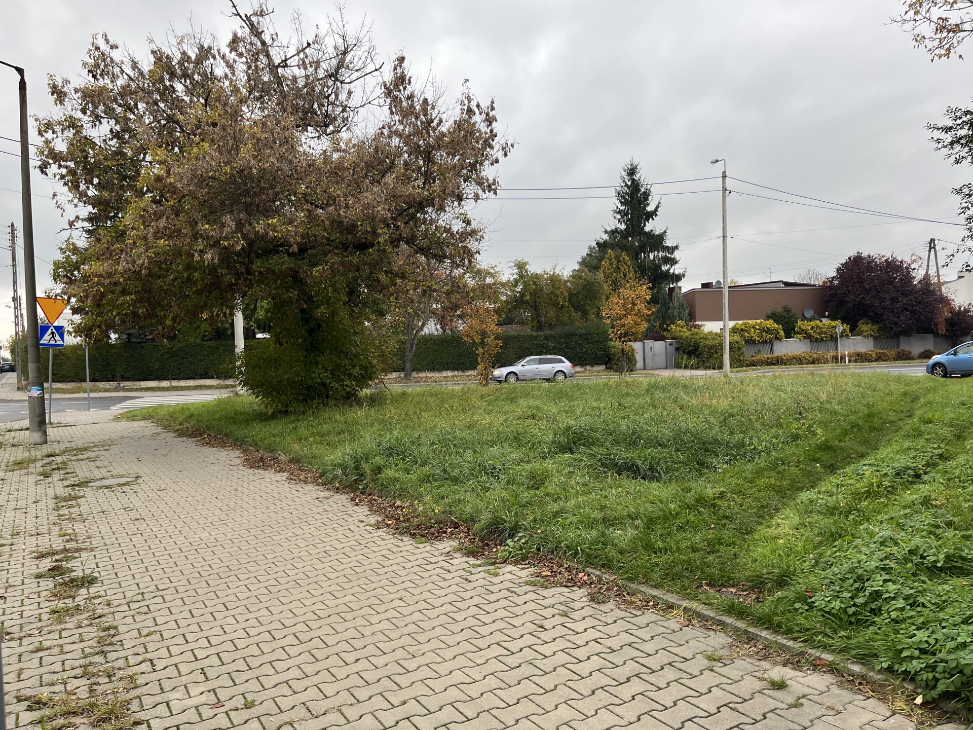 Pabianice, Działka usługowo-budowlana - Widok 3