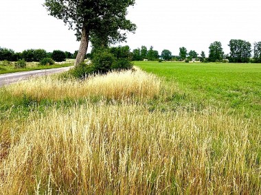 Działki budowlane Zielona Okolica 8 km od Morza-1