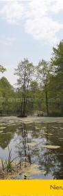 Działka w okolicy lasu i urokliwych jezior-4