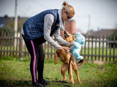 KROMKA ma dużo radości i siły, tylko dom i kanapa zbłądziły...-1