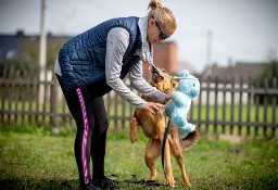 KROMKA ma dużo radości i siły, tylko dom i kanapa zbłądziły...