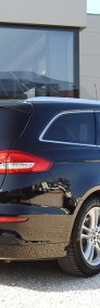 2.0 HYBRID AUT 187 KM TITANIUM BEZWYPADKOWY ORYG.LAKIER SALON IT-4