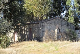 Działka inna Penamacor, Castelo Branco