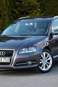 Audi A3 III (8V) Lift Klimatronic 2xParktronic Park Assist Relingi Oryginał z Niemiec-2