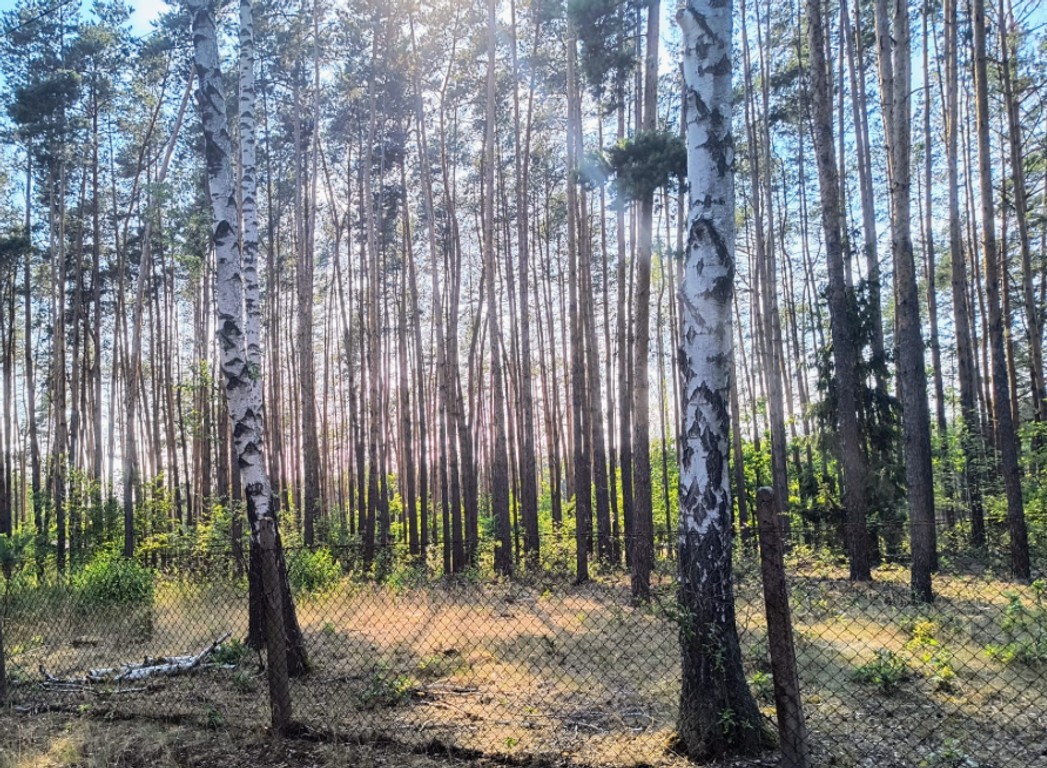 Działka -dom w lesie -komunikacja 45 min. do Warszawy, pełna infrastruktura – další