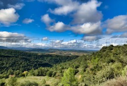 Dom Limoux