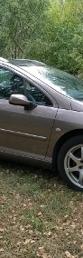 Peugeot 407-3