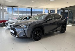 Lexus UX 250h Midnight Edition 4WD 250h Midnight Edition 4WD 1 właściciel, FV