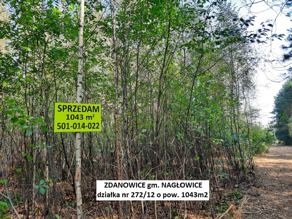 Tania działka rekreacyjna (plan)1043 m² tylko 52.900 zł (brutto z 23% VAT) – pohled 2