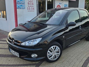 Peugeot 206 206+-1