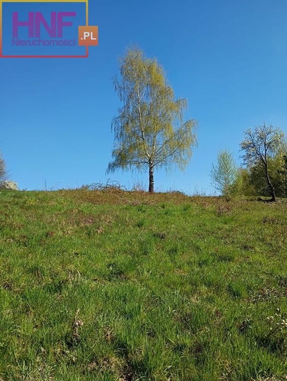 Działka budowlana Gródek Nad Dunajcem 6,75ar - Widok 4